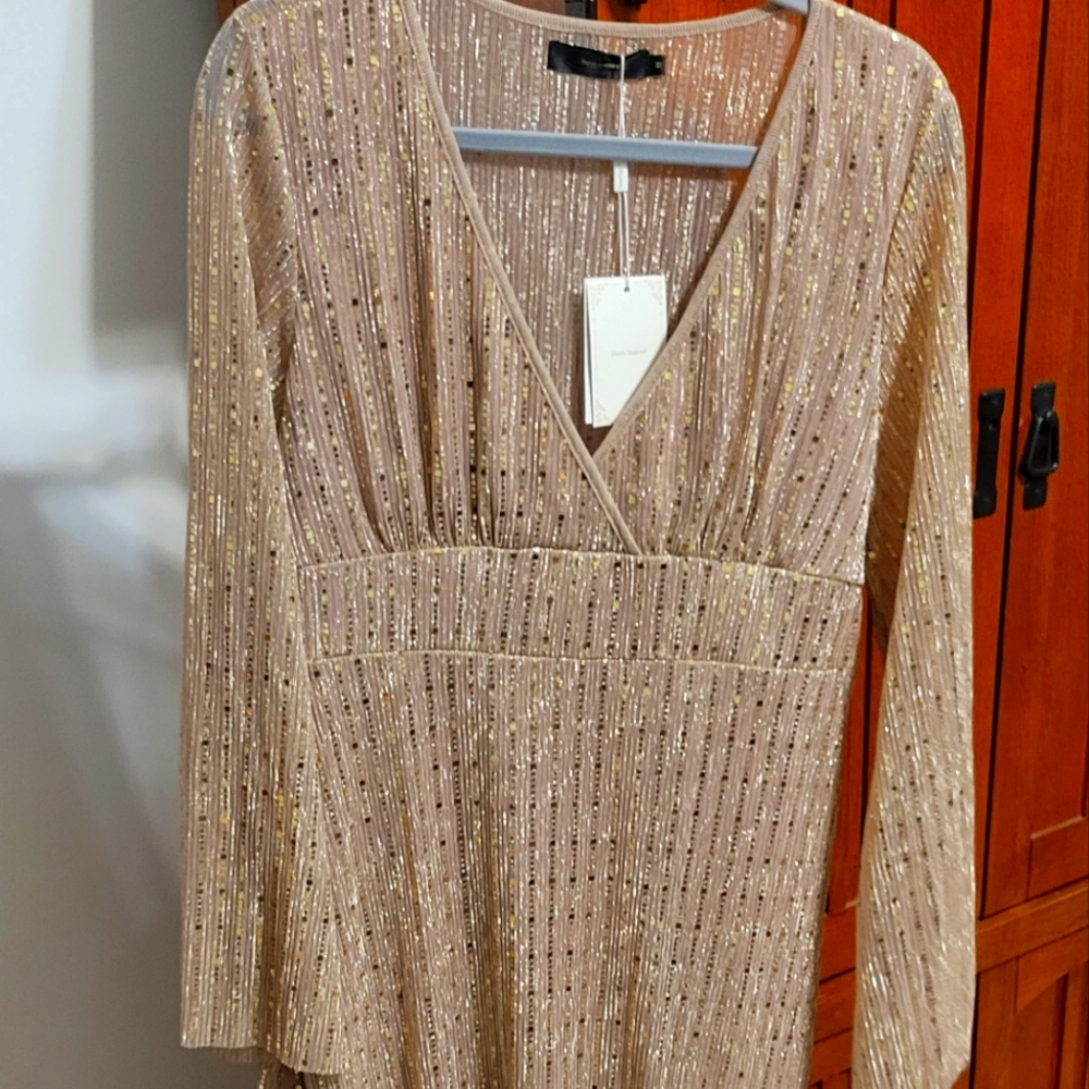 Rose Gold Floor Length Long Sleeve Dress